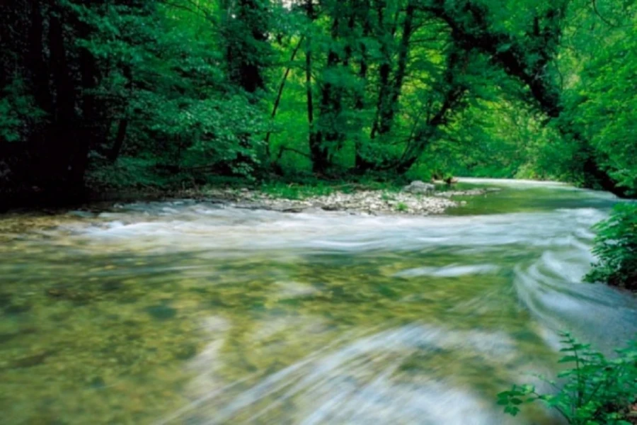 Fly fishing in armonia con la natura al Cardo Resort