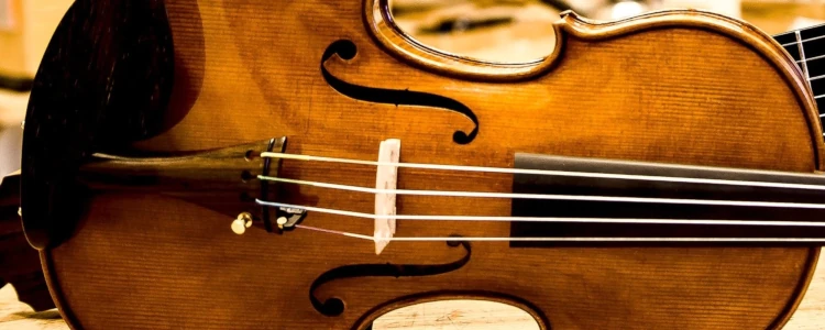 Federico Falaschi Liutaio a Pistrino